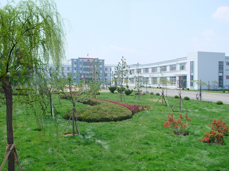 歡樂奧龍人，激昂青春夢(mèng)